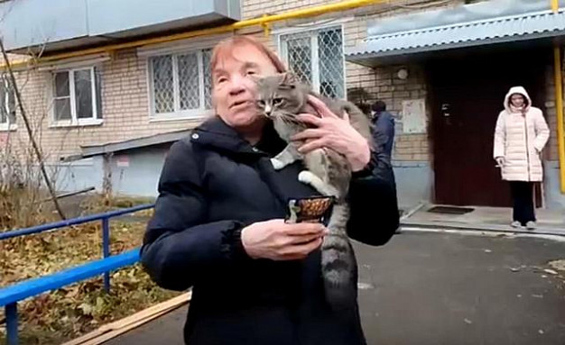В Иванове пожарные спасли кота